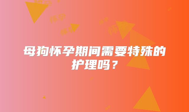 母狗怀孕期间需要特殊的护理吗？