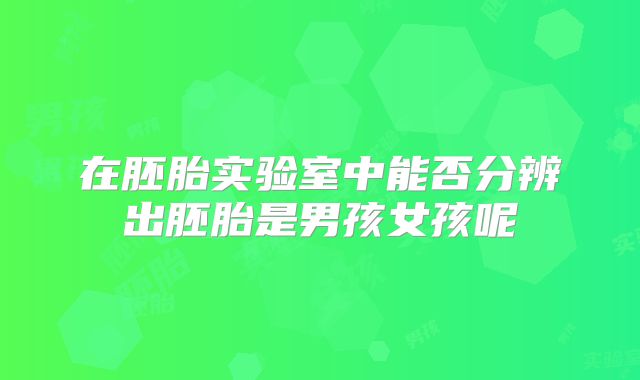 在胚胎实验室中能否分辨出胚胎是男孩女孩呢