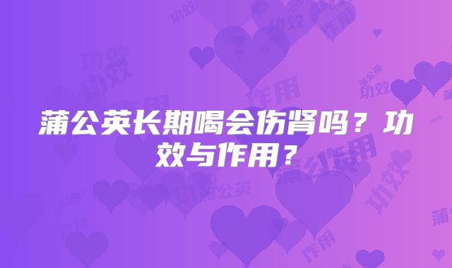 蒲公英长期喝会伤肾吗?功效与作用?