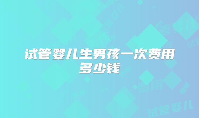 试管婴儿生男孩一次费用多少钱