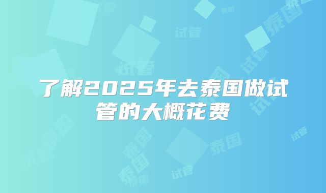 了解2025年去泰国做试管的大概花费
