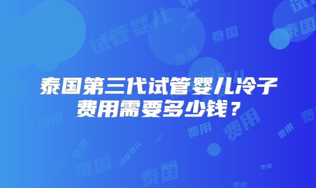 泰国第三代试管婴儿冷子费用需要多少钱?