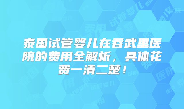 泰国试管婴儿在吞武里医院的费用全解析，具体花费一清二楚！
