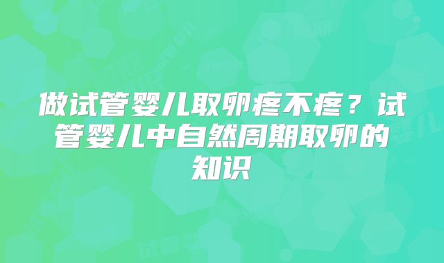 做试管婴儿取卵疼不疼？试管婴儿中自然周期取卵的知识