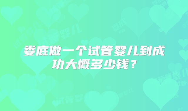 娄底做一个试管婴儿到成功大概多少钱？
