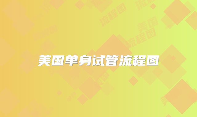 美国单身试管流程图