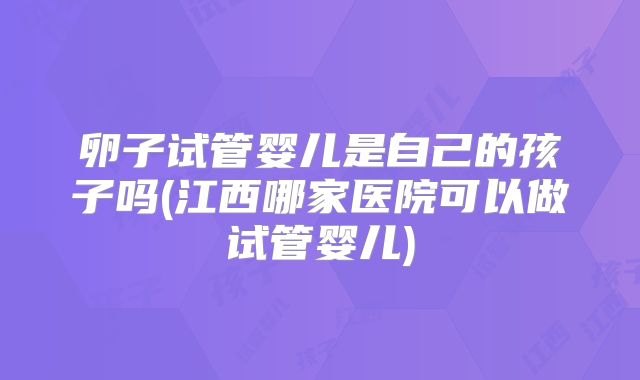 卵子试管婴儿是自己的孩子吗(江西哪家医院可以做试管婴儿)