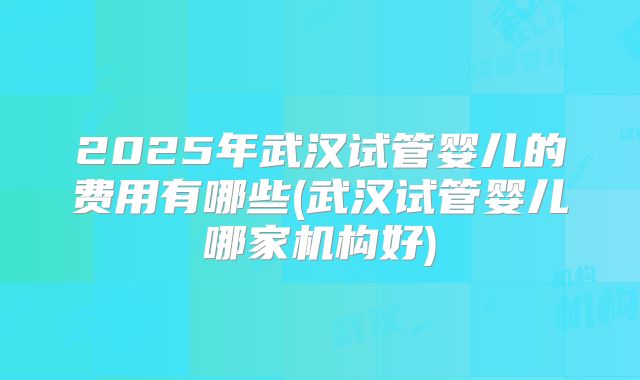 2025年武汉试管婴儿的费用有哪些(武汉试管婴儿哪家机构好)