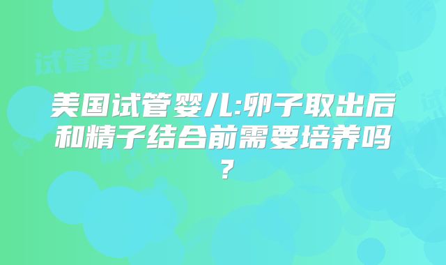 美国试管婴儿:卵子取出后和精子结合前需要培养吗？