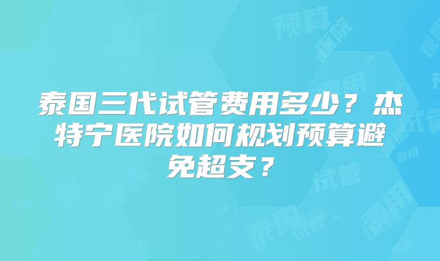 泰国三代试管费用多少？杰特宁医院如何规划预算避免超支？