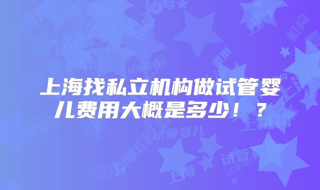 上海找私立机构做试管婴儿费用大概是多少！？