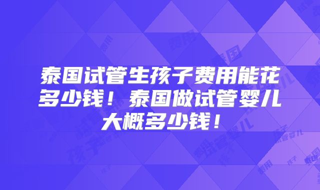 泰国试管生孩子费用能花多少钱！泰国做试管婴儿大概多少钱！