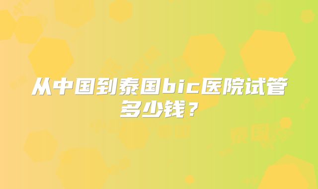 从中国到泰国bic医院试管多少钱？