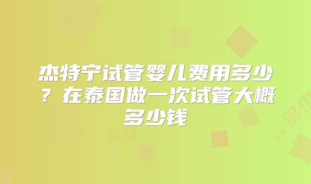 杰特宁试管婴儿费用多少？在泰国做一次试管大概多少钱