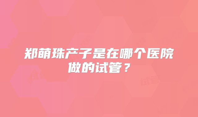 郑萌珠产子是在哪个医院做的试管？