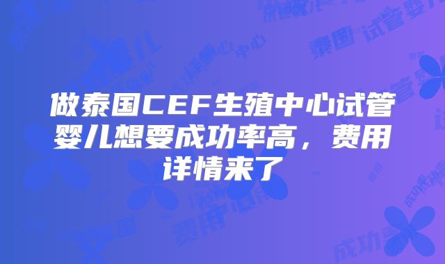 做泰国CEF生殖中心试管婴儿想要成功率高，费用详情来了