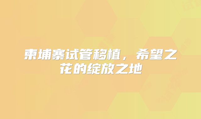 柬埔寨试管移植，希望之花的绽放之地