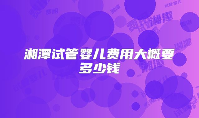 湘潭试管婴儿费用大概要多少钱