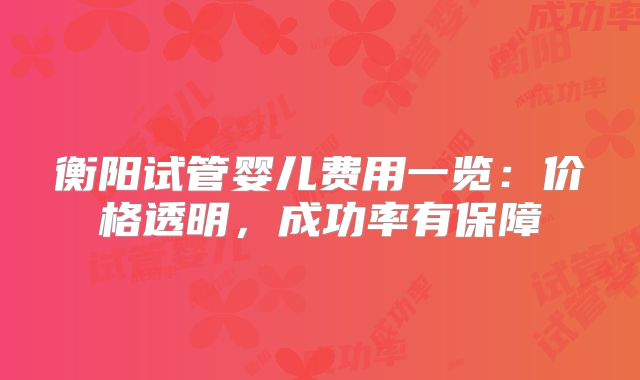 衡阳试管婴儿费用一览:价格透明,成功率有保障