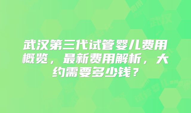 武汉第三代试管婴儿费用概览，最新费用解析，大约需要多少钱？