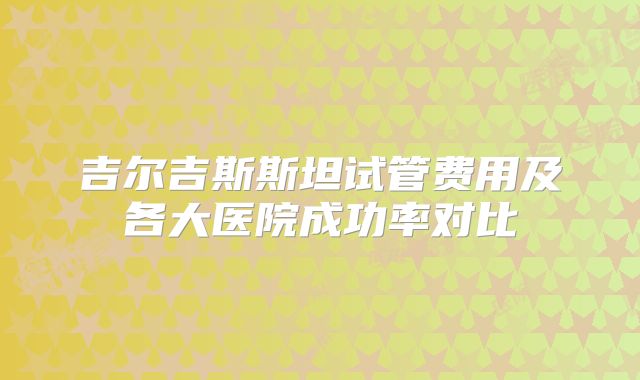吉尔吉斯斯坦试管费用及各大医院成功率对比