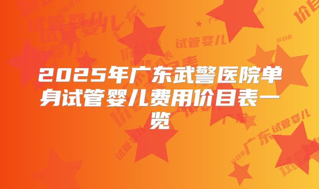 2025年广东武警医院单身试管婴儿费用价目表一览