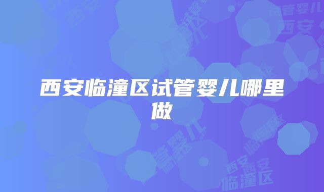 西安临潼区试管婴儿哪里做