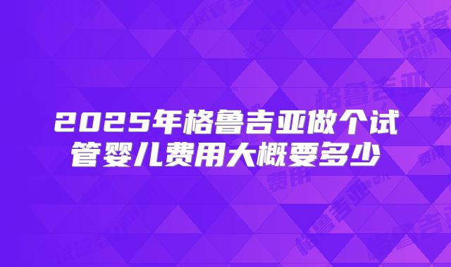 2025年格鲁吉亚做个试管婴儿费用大概要多少