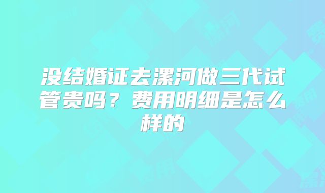 没结婚证去漯河做三代试管贵吗？费用明细是怎么样的