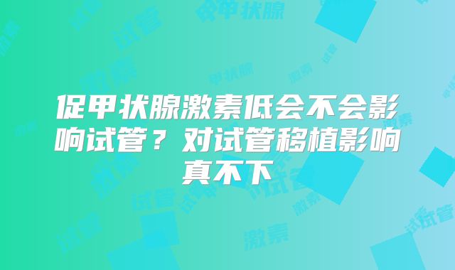 促甲状腺激素低会不会影响试管?对试管移植影响真不下