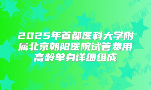 2025年首都医科大学附属北京朝阳医院试管费用高龄单身详细组成