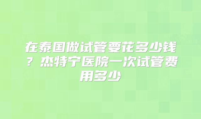 在泰国做试管要花多少钱？杰特宁医院一次试管费用多少