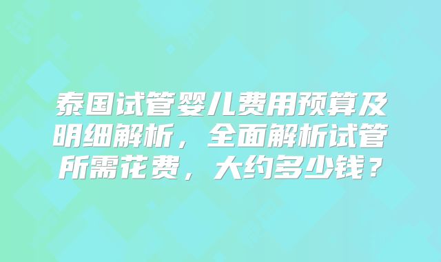 泰国试管婴儿费用预算及明细解析,全面解析试管所需花费,大约多少钱?