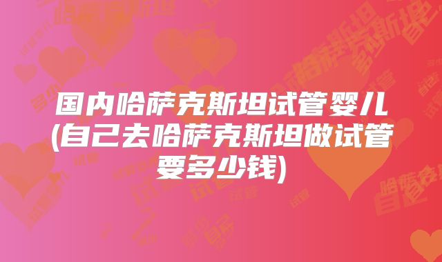 国内哈萨克斯坦试管婴儿(自己去哈萨克斯坦做试管要多少钱)