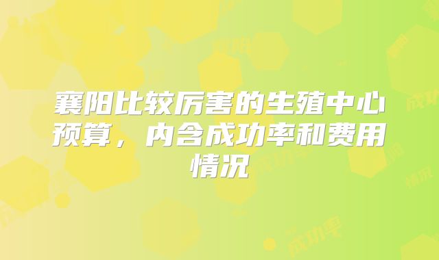 襄阳比较厉害的生殖中心预算，内含成功率和费用情况