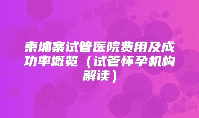 柬埔寨试管医院费用及成功率概览（试管怀孕机构解读）