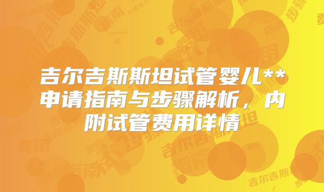 吉尔吉斯斯坦试管婴儿**申请指南与步骤解析，内附试管费用详情