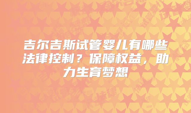 吉尔吉斯试管婴儿有哪些法律控制？保障权益，助力生育梦想