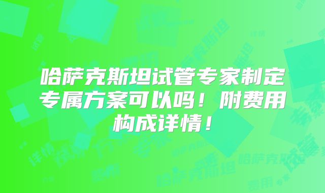哈萨克斯坦试管专家制定专属方案可以吗！附费用构成详情！