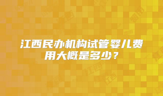 江西民办机构试管婴儿费用大概是多少？