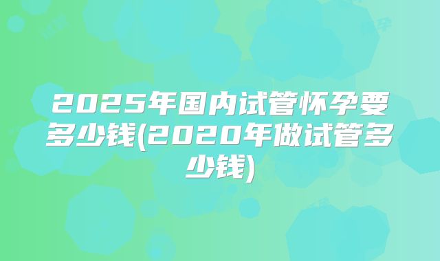 2025年国内试管怀孕要多少钱(2020年做试管多少钱)