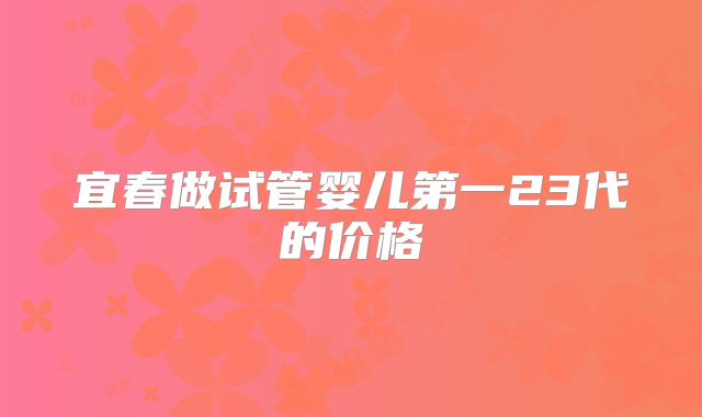 宜春做试管婴儿第一23代的价格