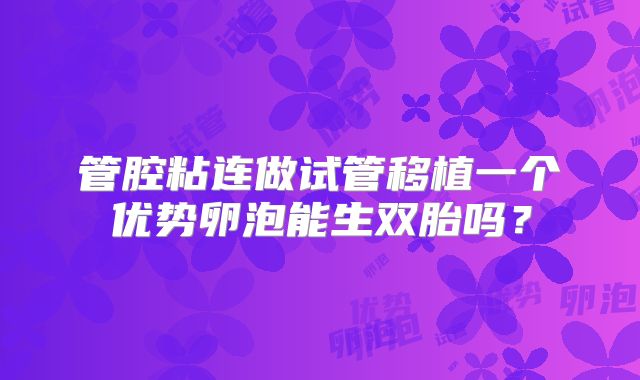 管腔粘连做试管移植一个优势卵泡能生双胎吗？