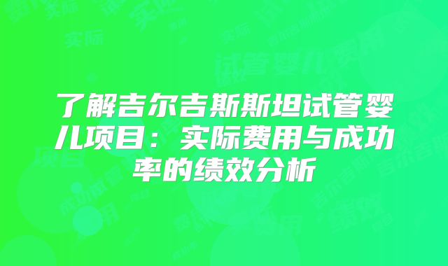 了解吉尔吉斯斯坦试管婴儿项目：实际费用与成功率的绩效分析