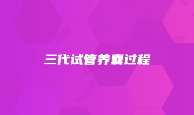 三代试管养囊过程