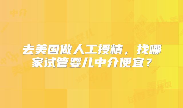 去美国做人工授精，找哪家试管婴儿中介便宜？