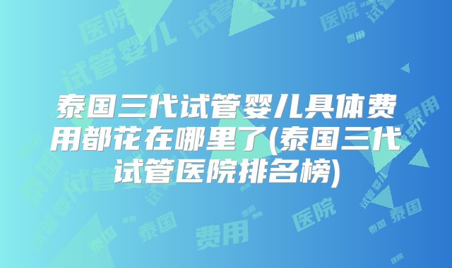 泰国三代试管婴儿具体费用都花在哪里了(泰国三代试管医院排名榜)
