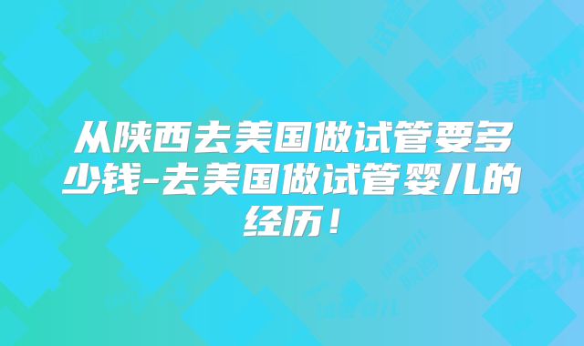 从陕西去美国做试管要多少钱-去美国做试管婴儿的经历!
