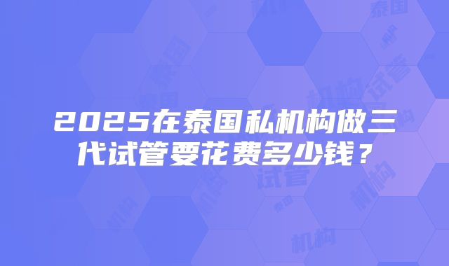 2025在泰国私机构做三代试管要花费多少钱？