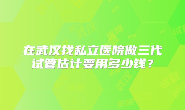 在武汉找私立医院做三代试管估计要用多少钱？